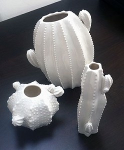 Vasi in ceramica a forma di cactus